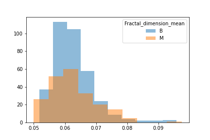 Fractal Dimension Mean