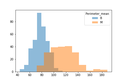 Perimeter Mean